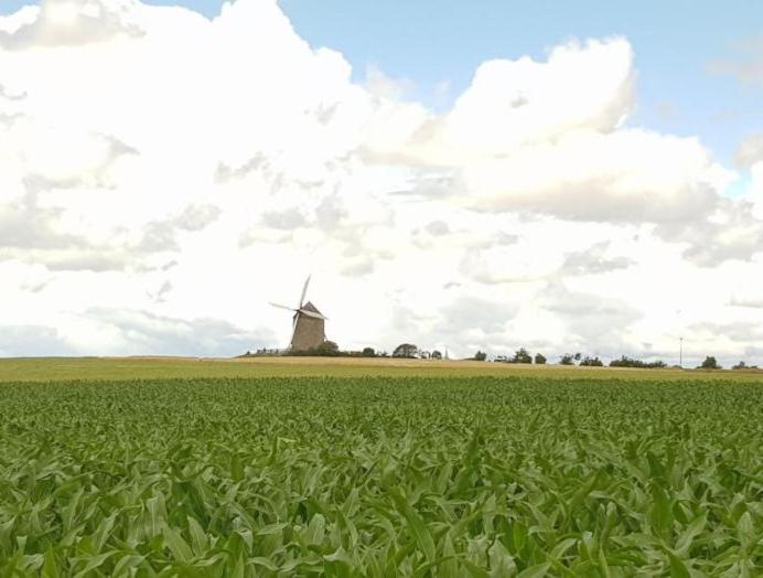 Gite Timeo Mont Saint-Michel Pontorson Ngoại thất bức ảnh