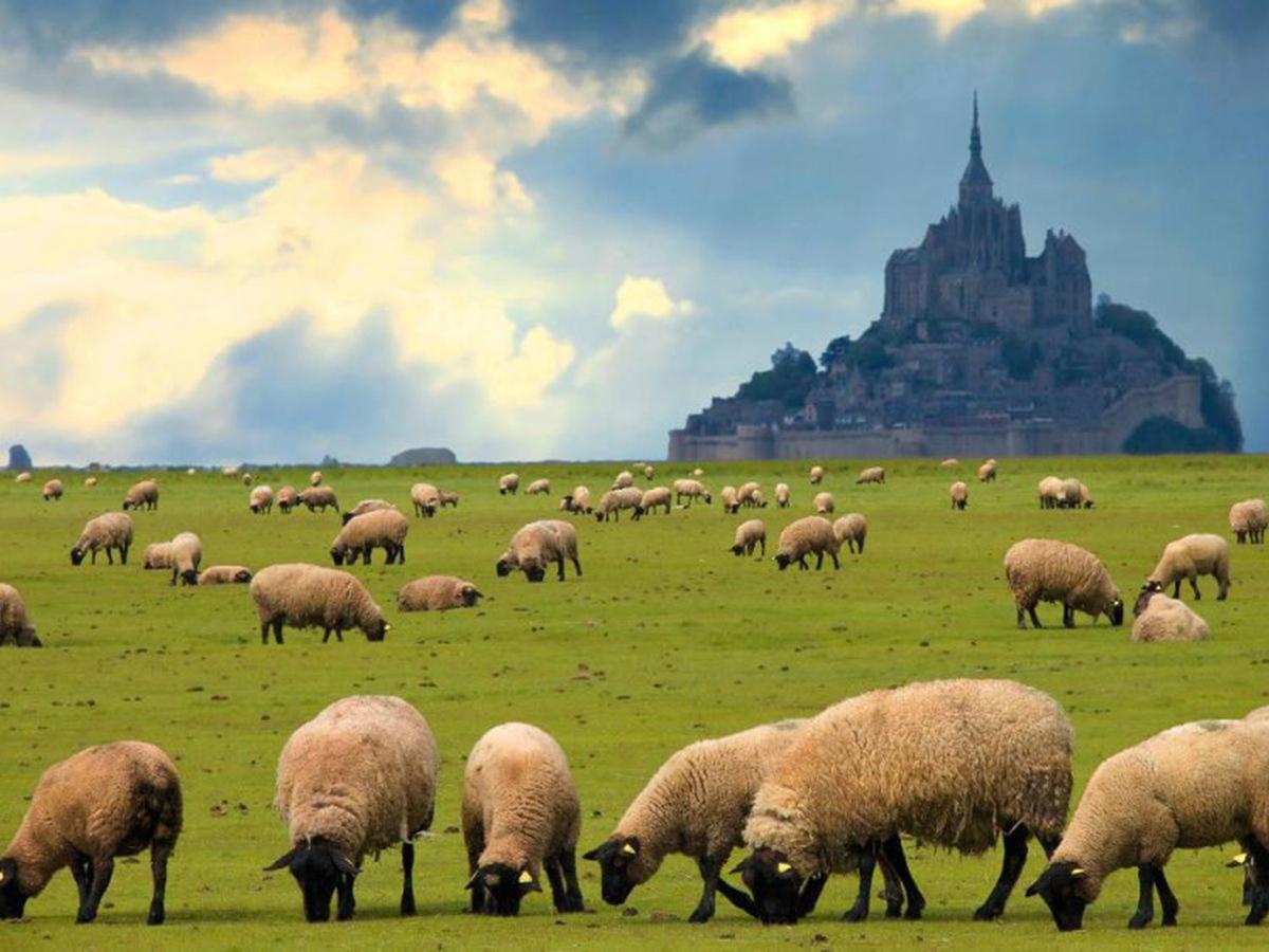 Gite Timeo Mont Saint-Michel Pontorson Ngoại thất bức ảnh